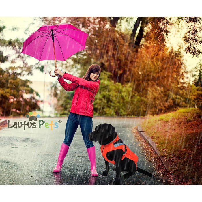 Lautus Pets Dog Raincoat, Waterproof, Reflective, Light with Harness Hole (Orange, 2XL)