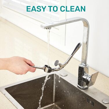 Преміум-подрібнювач часнику з нержавіючої сталі, ергономічна ручка, подрібнювач імбиру, легко мити, придатний для миття в посудомийній машині