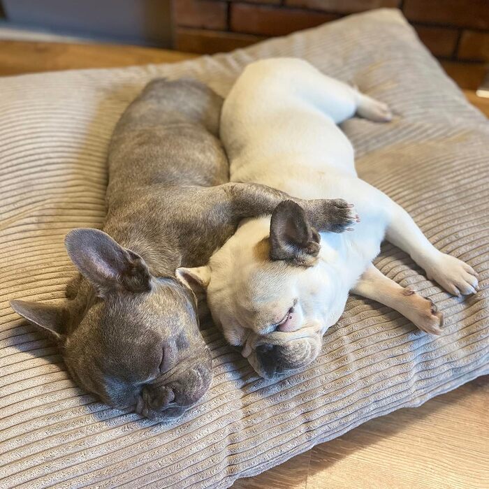 4L Textil ZOE - М'яке собаче ліжко з тканини Corduroy, 60x50 см, бежеве (смужки)