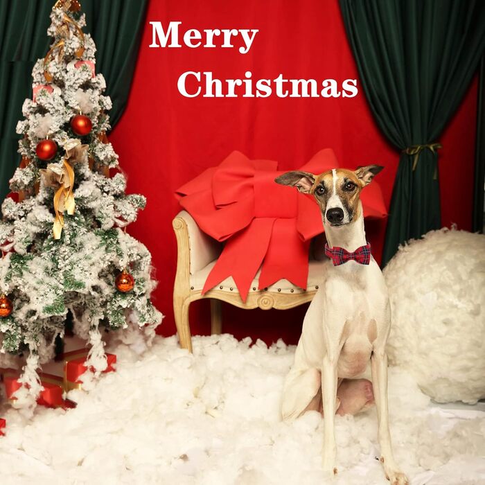 Нашийник для собак та котів з бантиком, міцний, регульований, для собак та котів будь-яких розмірів (Collar&Bow-S, Rot)