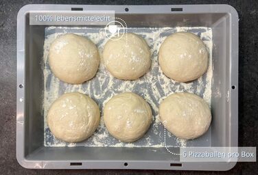 Pizza Ball Box (40 x 30 x 7 cm) for pizza dough, reusable box for pizza (reusable packaging), including dough scraper, complete set (2x box, 1x lid)