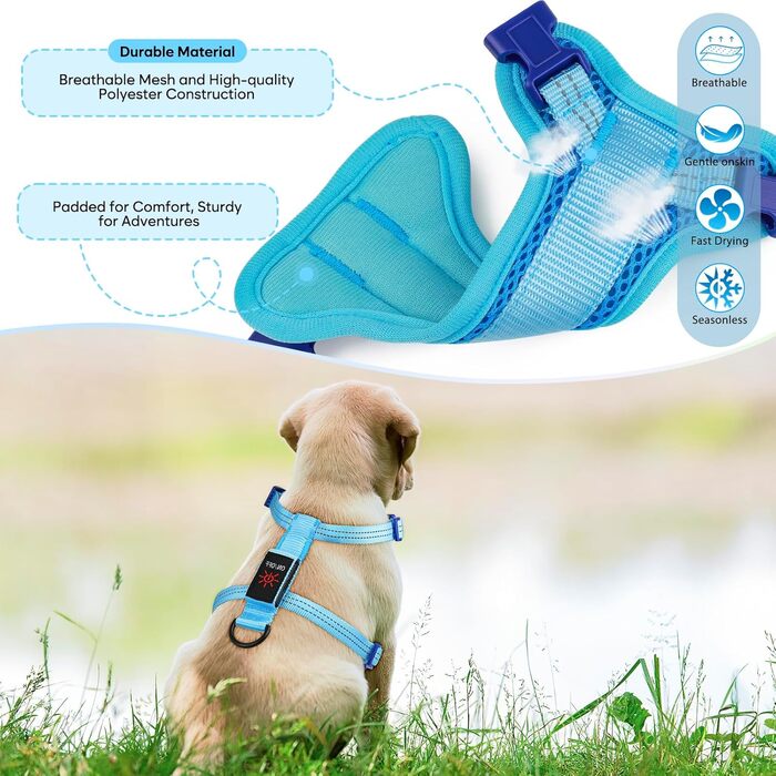 LED нашийник для собак, світлодіодний нашийник для маленьких собак, USB-C, світлодіодна повідка для собак, безпечний нашийник для собак, світлодіодна жилетка для собак, світлодіодна повідка для цуценят, XS, S, світловідбиваючий нашийник для собак, для ніч