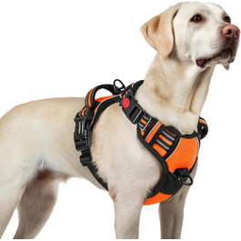 колір: помаранчевий