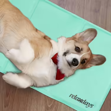 Relaxdays Turquoise Cooling Mat for Dogs