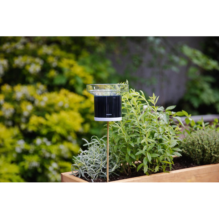Netatmo Pack with indoor and outdoor weather station, wireless outdoor sensor, and intelligent rain gauge, humidity, air quality, indoor noise level, air pressure, NBU-NWS-NRG-EU Weather Station + Rain Gauge