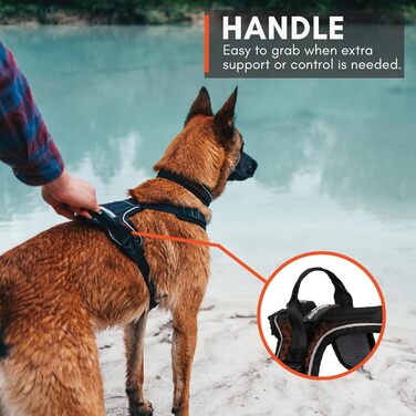 Шлейка для собак Non-Stop Dogwear Rock Harness, розмір M, чорний колір