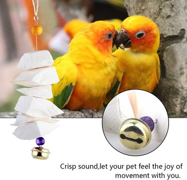 Parrot bones, fragile molars, chewing toys, grinding birds, beak and calcium, bone supplements, parrots, cockatiels