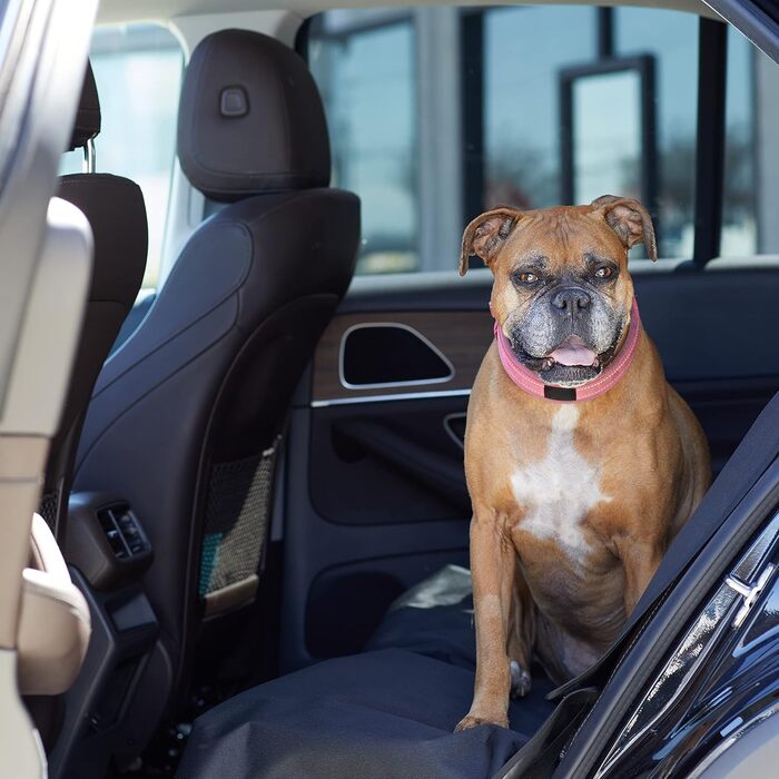 Amazon Basics Auto Seat Cover for Dogs, 119 x 142 cm, Black - Pet Car Seat Protector
