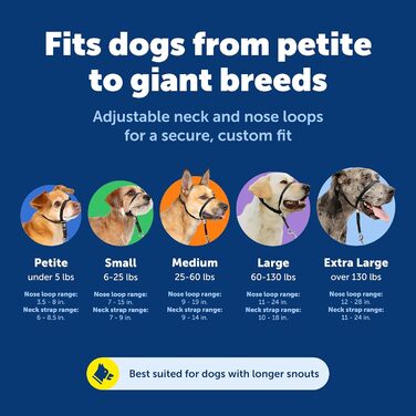 PetSafe Sanfter Führer: Нашийник-тренер з DVD (срібний)