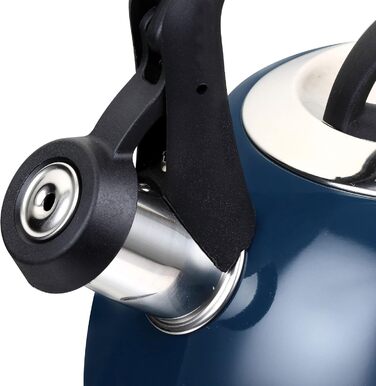 Чайник-свисток 2,5 л з нержавіючої сталі для індукції, газу, з емальованим покриттям (блакитний)