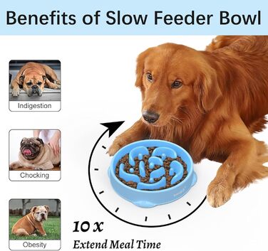 Набори мисок для собак MateeyLife 2 шт. Anti-Slurp – повільна годівниця, миски для собак середніх та великих порід (світло-блакитний & темно-блакитний)