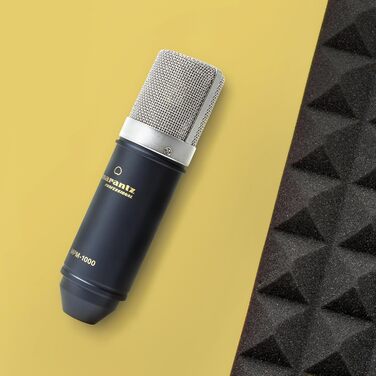 Мarantz Professional MPM1000 - XLR конденсаторний мікрофон з поп-фільтром, підвісом, штативом та XLR кабелем для дому/студії
