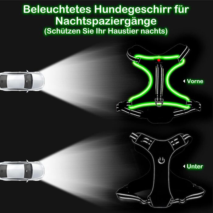 Світловідбиваючий нашийник для собак з LED, перезаряджається, шкіряний, зелений, для собак малого, середнього та великого розміру