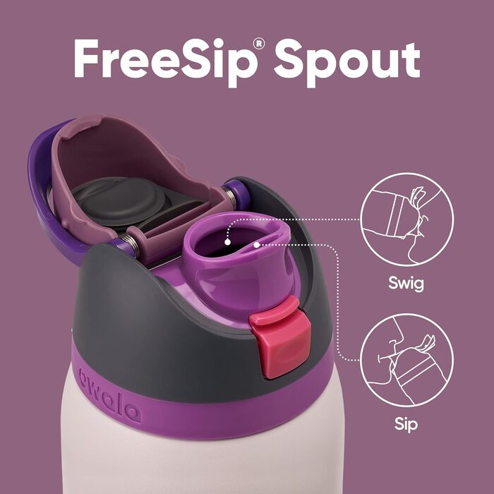 Owala FreeSip Insulated Stainless Steel Water Bottle with Straw for Sports and Travel, BPA-Free, 1.2L, Dreamy Field