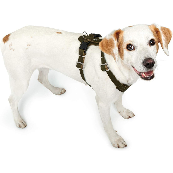 Шлейка для собак HUNTER AALBORG з натуральної шкіри, оливковий колір, розмір M-L