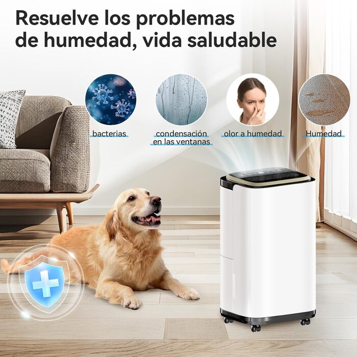 Електричний осушувач повітря JUMMICO 12л/день з датчиком вологості, 2.2л бак, LED-дисплей, шланг 1.5м, фільтр для дому, ванної кімнати