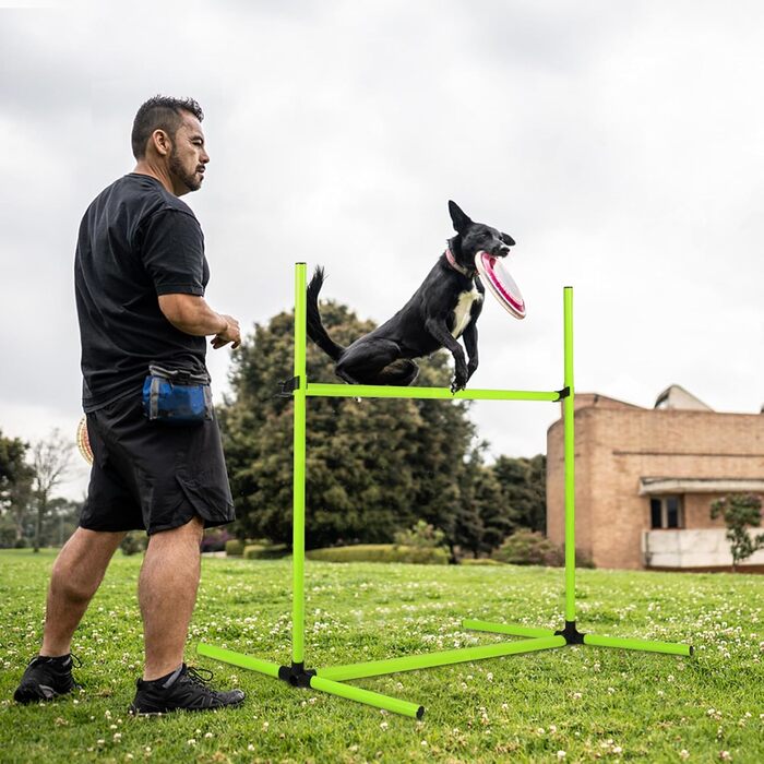 Набір для аджиліті для собак Grün 4X: Слаштом, регульована висота, 104x70x101 см