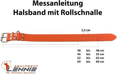 Нашийник для собак Lennie 25 мм з біотана з подвійною застібкою, персоналізований з ім'ям/номером телефону, стійкий до бруду та води (38 мм)