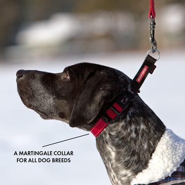 Нашийник для собак EzyDog Checkmate – нашийник-стоп для дресирування. Регульований нашийник для великих, середніх та маленьких собак (S, Чорний)