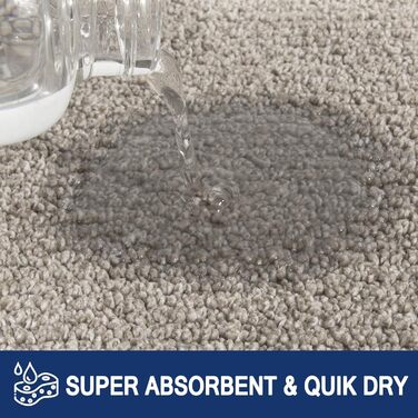 Пристрій для очищення взуття FCSDETAIL: Вбираючий килимок для вхідних дверей та коридору 60 x 90 см, протиковзний та придатний для прання