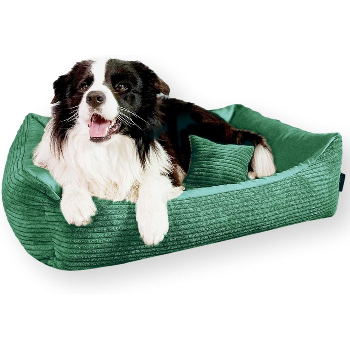 М'яке ліжко для собак 4L Textil Molly, корзина для собак, подушка для собак та котів, корзинка для собак, мохет (60x40 см, зелений)