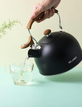 Чайник BELANKO з свистком, 2,5 л, нержавіюча сталь, з дерев'ястим малюнком, складаний ручка, для чаю, кави, молока – блакитний (чорний)