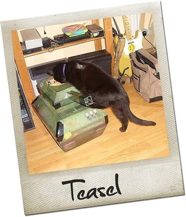 Будиночок для котів Tank від Suck UK: картонний будиночок, іграшка та ліжко для котів, інтерактивна іграшка, оригінальне аксесуар та подарунок для котів, іграшка для дому та вулиці