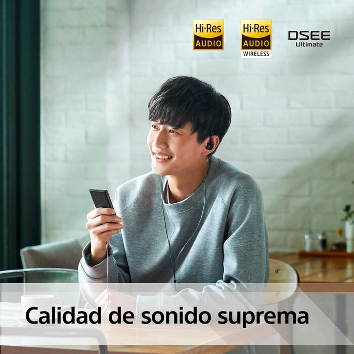 MP3 плеєр Sony Walkman NW-A306 32GB Black: Wi-Fi, 36 год автономії, покращена якість звуку