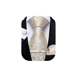 Набір краваток чоловічий DiBanGu з візерунком пає, краватка, кишеньковий хустинка, краваткові застібки, для весілля та ділових зустрічей, бежевий