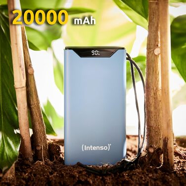 Powerbank Intenso F10000: 10000mAh, USB-C, USB-A, Швидка зарядка (PD 20W, QC 18W), Жовтий