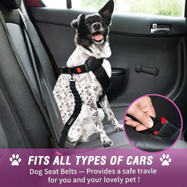 COOYOO Dog Safety Belt - Retractable Dog Car Harness with Elastic Bungee Buffer - Adjustable Nylon Pet Seat Belt for Car - Pink