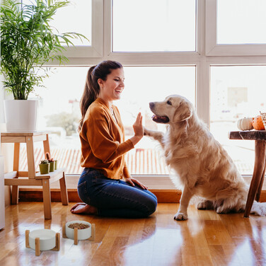 Relaxdays Dog Bowl Set of 2
