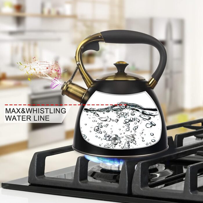 Чайник для плити Teekessel з нержавіючої сталі, 2,9 л, чорний