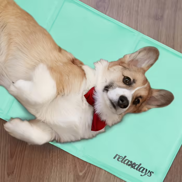 Relaxdays Turquoise Cooling Mat for Dogs