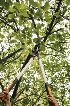Fiskars PowerGear X Bypass Pruning Shears for Fresh Wood, Non-Stick Coated, Hardened Precision Steel, Length: 80 cm, Black/Orange, LX98-L, 1020188
