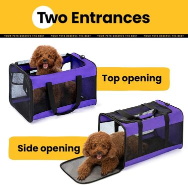 Транспортна переноска для котів Conlun, м'яка переноска з сіткою з 4 сторін, підходить для перевезення літаком, для кошенят та малих котів до 6 кг, складана, розмір 51x31x31 см, фіолетовий колір