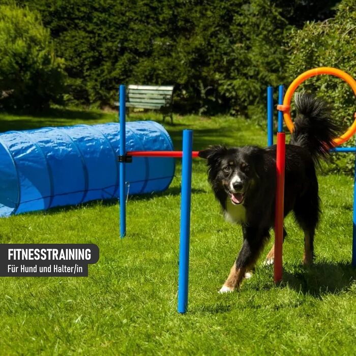 Набір для аджиліті NATIV LEMODO для собак | Тренування собак з бар'єрами та стрибковим кільцем | Легкий у транспортуванні аксесуар для аджиліті | Початковий набір у собачий спорт (з тунелем)