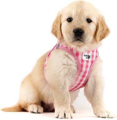 Шлейка для собак Curli Clasp Air-Mesh M (Рожевий-Каро) з повідком