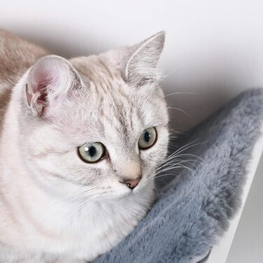 PawHut Cat Bed, Wall-Mounted Cat Bed, Cat Shelf, Wall Mount, Plush Cushion, MDF (white / gray)