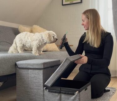 Сходинки для домашніх тварин CLOSE2ME PetStair Deluxe з місцем для зберігання, двоступеневі