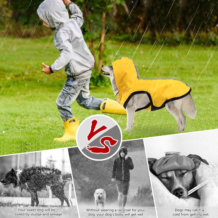 Idepet Waterproof 2-in-1 Raincoat for Dogs, Lightweight Overall for Dogs with Hood, Breathable Rain Poncho with Hood and Reflective Strip for Small, Medium, Large Dogs (M, Yellow) M Yellow