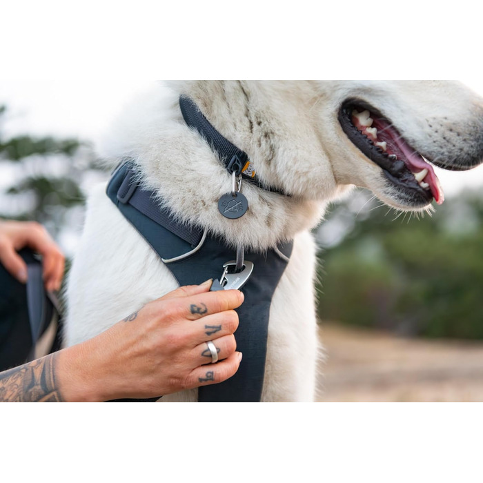 Нашийник для собак Ruffwear Front Range з V-подібним кільцем, регульований, зручний, м'який, для собак, з кільцем для повідка, 11'-14' (Базальтовий Grey, 20'-26')