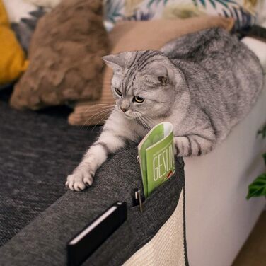 Navaris Cat Scratch Mat Scratch Protection Sofa - with 2 compartments - 128 x 45 cm Sisal Scratch Rug for Cat - Couch Cat Scratch Mat - also for Dogs