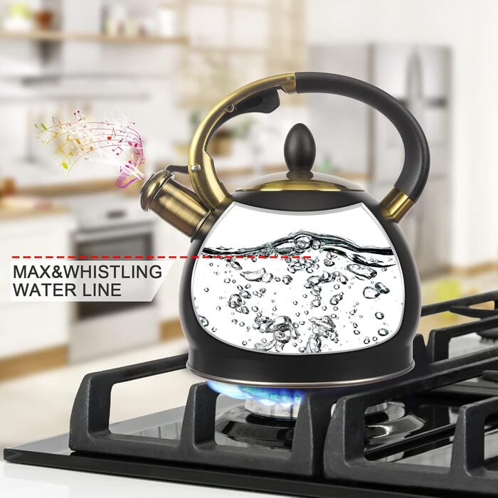 Чайник для заварювання чаю, класичний чайник з нержавіючої сталі, чайник з холодною ручкою для плити, 3 л (Чорний)