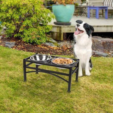 Підвищений миска для собак Funkeen - миска для корму для домашніх тварин з нержавіючої сталі з двома знімними мисками на підставці для годування кормом та водою (підходить для середніх собак, 1 кварта)