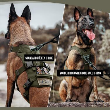 Нашийник для собак OneTigris T-Bone тактичний, зелений, регульований, для полювання, прогулянок, тренувань та активного відпочинку (M, XL:39-64кг)