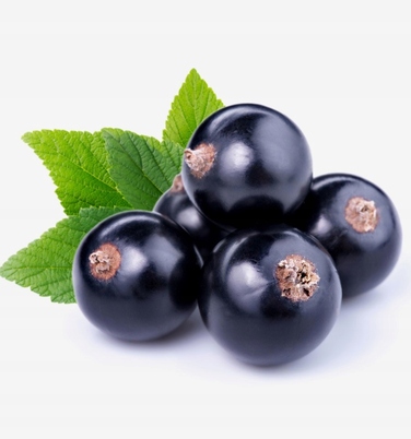 Жіноча парфумована вода Yodeyma Celebrity, 100 мл