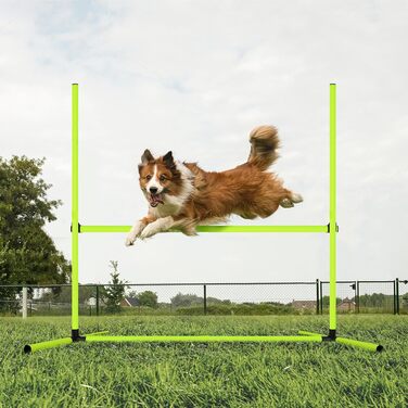 Набір для аджиліті для собак Grün 4X: Слаштом, регульована висота, 104x70x101 см