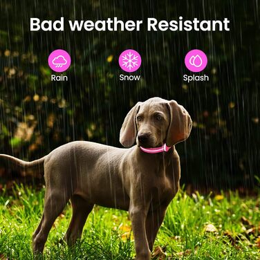 Світлодіодна нашийник для собак ASBRILL, зарядний, 7 кольорів RGB, 8 світлодіодів, регульований, водонепроникний, для маленьких, середніх та великих собак, (L, рожевий)