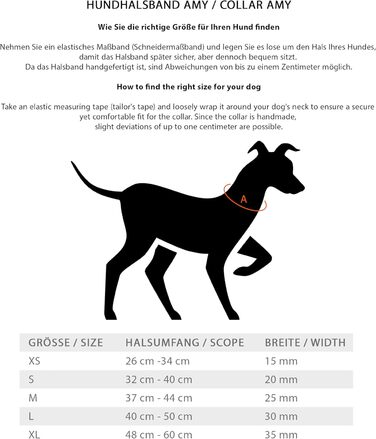 Нашийник для собак Джек Рассел Тірріер Amy - шкіряний нашийник з натуральної шкіри, з підкладкою та міцний - двошаровий нашийник для собак маленьких, середніх та великих порід (M, Коричневий) M (37.0-44.0 см)